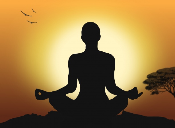Virtual: Mindfulness A Balanced Introduction with C. Pierce Salguero