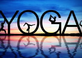 Adult Yoga at North Branch